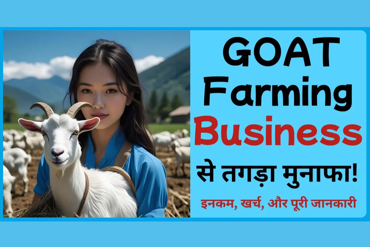 Goat Farming